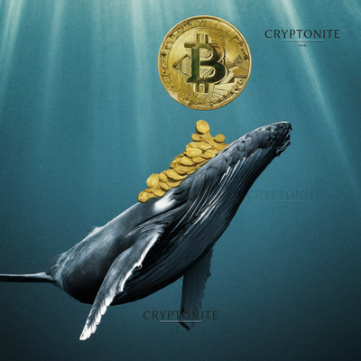Bitcoin Whale Transfers Millions to Kraken Amidst Blackrock’s Historic ETF Push