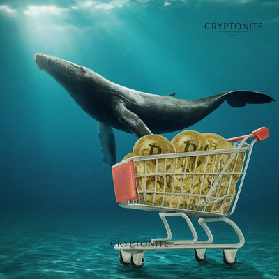 Bitcoin Whales Signal Bullish Run: Accumulation Pattern Resembles Pre-2020 Surge