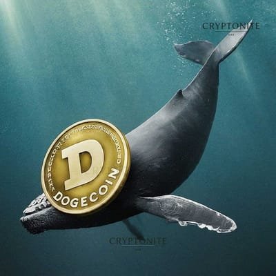 Dogecoin: Whale Activity Signals Potential Bullish Trend as Trading Volume Surges