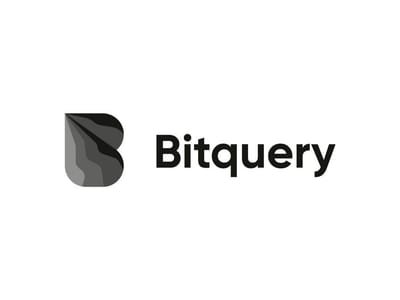BitQuery: Empowering Blockchain Data Analysis