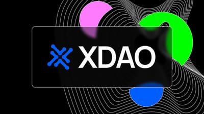 XDAO: Empowering Decentralized Autonomous Organizations