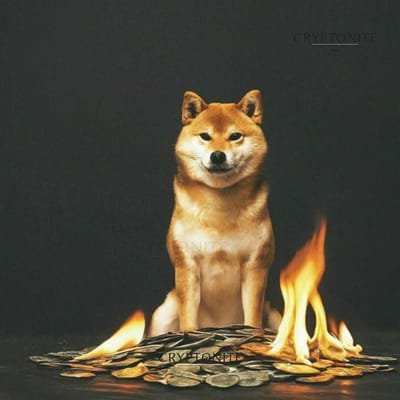 Shiba Inu Burns  Ignites Investor Optimism