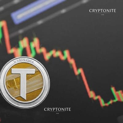 Toncoin Against the Trend: Whale Holdings Surge While Market Dips