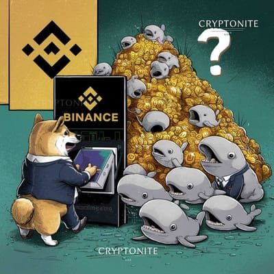 Shiba Inu and PEPE Whales Make Big Moves on Binance: Selling Spree or Strategic Shift?