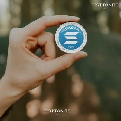 Solana Meme Coins Surge 800% Ahead of Ethereum in 2024