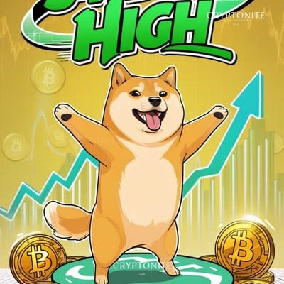 Is It Doge Day Again? Dogecoin Surges to 34-Day High, But Can It Hold On?