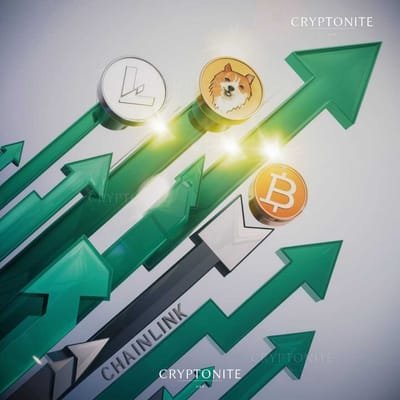 Litecoin and Dogecoin Reign Supreme: Altcoin Adoption Trends