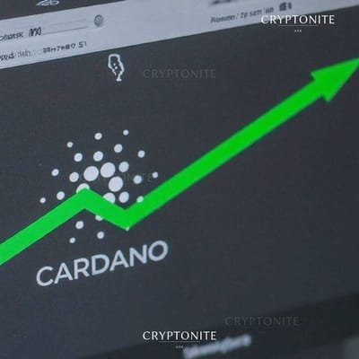 Cardano Sees 31% Surge in Volume as ADA Price Finds Strong Support
