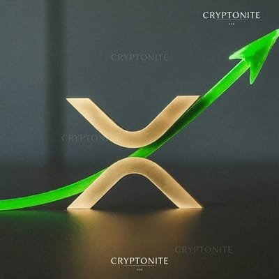 XRP Rebounds Strongly After August 5 Crash: Price Surges 15% to $0.50