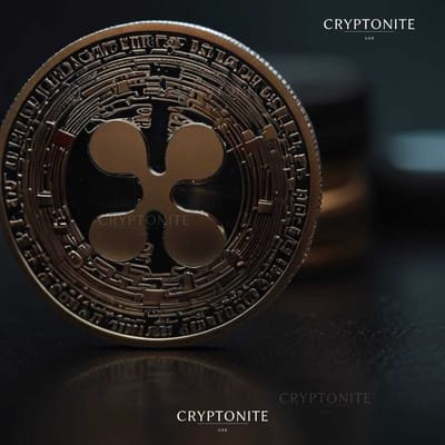 Ripple Issues Urgent Alert to XRP Holders Amid Rising Scams