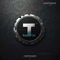 Toncoin Surges to New Heights: Is a Bubble Brewing?