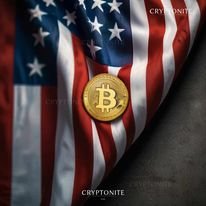 US Presidential Election: Trump’s Pro-Crypto Promises vs. Harris’s Regulatory Approach