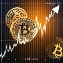 Bitcoin Transaction Fees Soar as Network Demand Peaks and Miner Reserves Surge