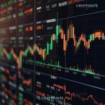 Crypto Market Records Significant Gains
