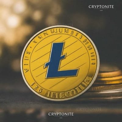 Litecoin Shrimp Holders Capitulate: A Potential Bullish Turnaround?
