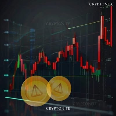 Notcoin (NOT) Faces Price Drop Amid Telegram CEO’s Arrest: Whale Activity and Market Trends