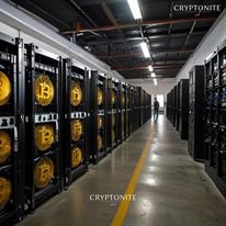 Rhodium’s Bankruptcy and Financial Struggles: A Deep Dive into the Bitcoin Miner’s Challenges