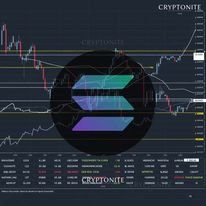 Solana Surges to the Forefront of Blockchain Networks with Record-Breaking Activity