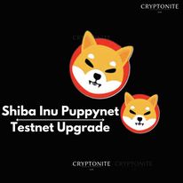 Shiba Inu’s Puppynet Testnet Set for Major Ethereum Upgrade: Enhancing Shibarium’s Layer-2 Network