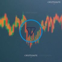 Toncoin Faces Crossroads: Network Growth vs. Technical Indicators