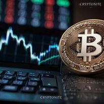 BlockFi and FTX: Lessons from the Crypto Bankruptcy Landscape