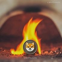 Shiba Inu (SHIB): Navigating the Market’s Ups and Downs