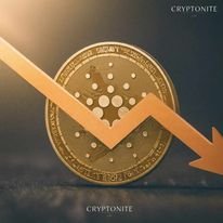 Cardano (ADA) Shows Bullish Signs Amid Bearish Market Sentiment