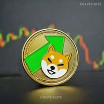 Shiba Inu (SHIB) Shows Bullish Momentum After Key Breakout