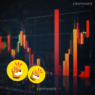 BONK: The Rising Star of Meme Coins with ETP Launch