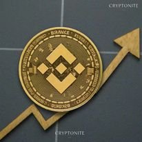 Binance Coin (BNB) Soars as CZ’s Release Looms