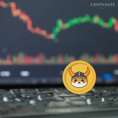 Floki (FLOKI) Faces Significant Decline Amid Bearish Outlook