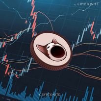 Meme Coins Make a Strong Comeback as BTC Surges Above $62,000