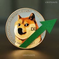 Dogecoin Price Shows Signs of Recovery as Active Addresses Surge