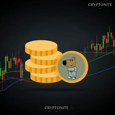 Just a Chill Guy (CHILLGUY): A Memecoin on the Rise