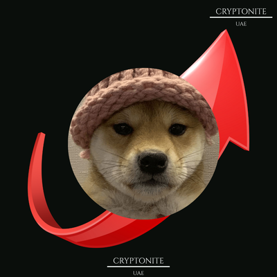 Dogwifhat (WIF) Could Rally 470% as Analyst Eyes Major Breakout
