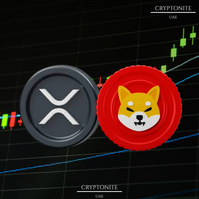 Altcoins in Focus as Crypto Bull Run Anticipation Grows: SHIB, XRP, and Snorter Token in the Spotlight