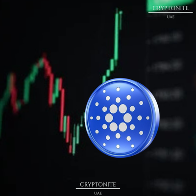 Cardano (ADA) Struggles in Sideways Range as Whales Accumulate and Retail Investors Exit