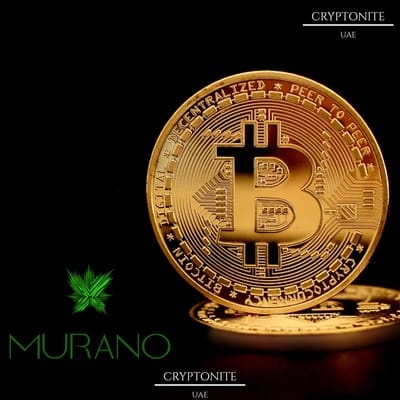 Murano Global Unveils Hybrid Treasury Strategy with Bitcoin Accumulation Plan
