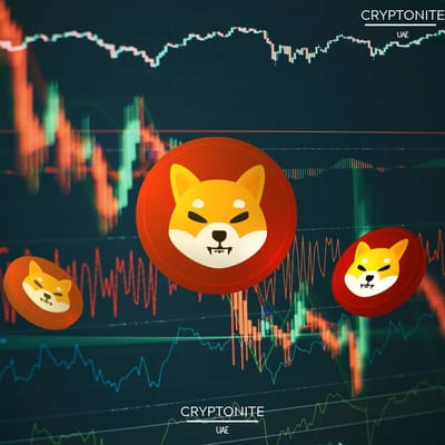 Analyst Forecasts Nearly 180% Surge for Shiba Inu, Fueling Meme Coin Debate
