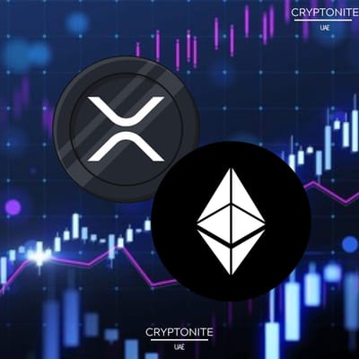 Steven McClurg of Canary Capital: XRP and Ethereum Eyeing Larger ETF Market Share