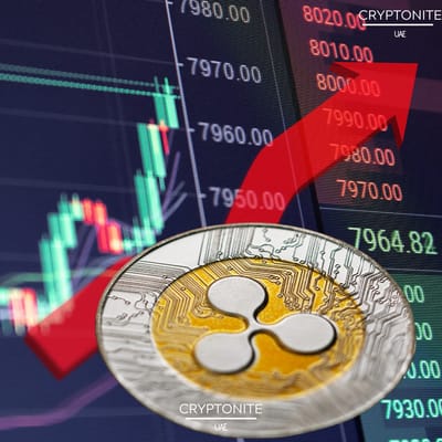 Ripple’s Expanding Horizon: Beyond XRP Price Speculation