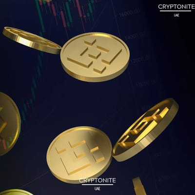 BNB Hits Record Highs Amidst Institutional Inflows and Surging Ecosystem Activity