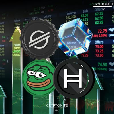Crypto Market Sees Momentum Build as Utility and Growth Drive Top Altcoins