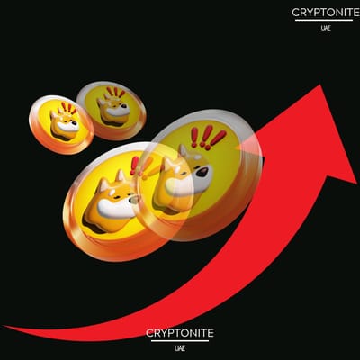 Bonk Surges After Massive Token Burn, While Bitcoin Hyper Emerges as New Presale Gem