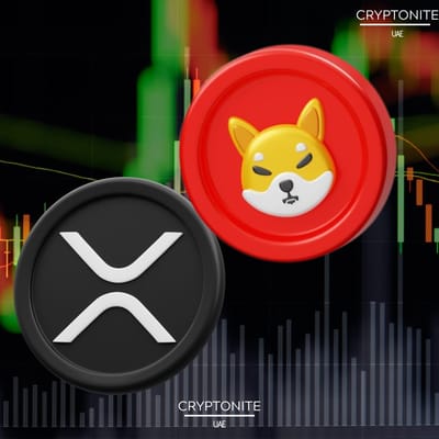 XRP: The Smart Bet Over SHIB as Crypto Heats Up