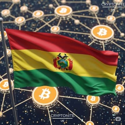 Bolivia Embraces Crypto to Tackle Financial Woes