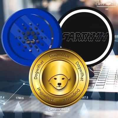 Muted Altcoin Season Sees Selective Growth