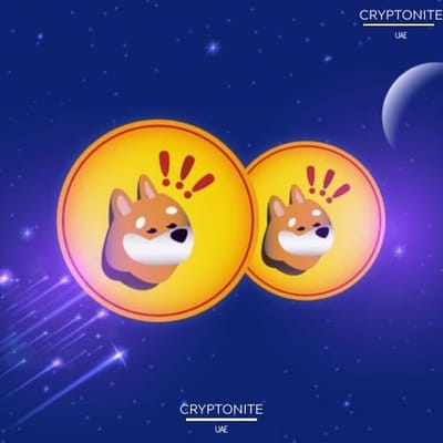 BONK’s Hype Cools as Pump.fun Reclaims Market Dominance
