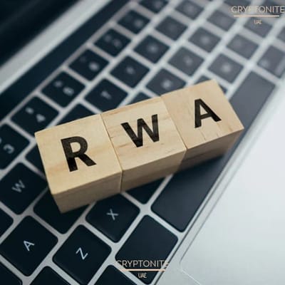 Animoca Brands Report on the Future of Tokenized Real-World Assets