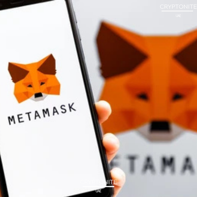 MetaMask Simplifies Wallet Creation with Social Logins
